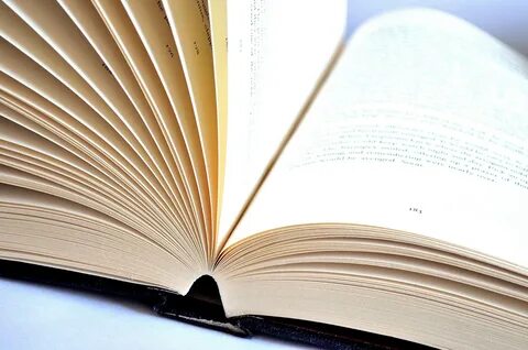Книга со страницами