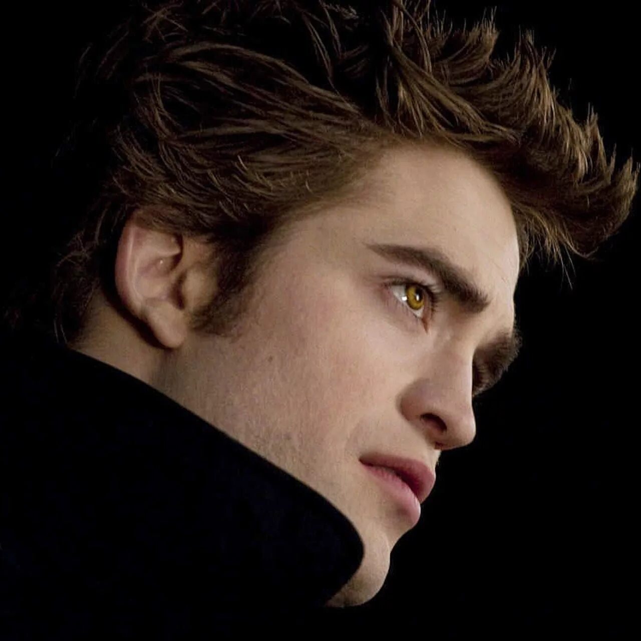 Красота кален. Красота кален. Красота кален. Сумерки эсми. Kristen stewart сумерки.