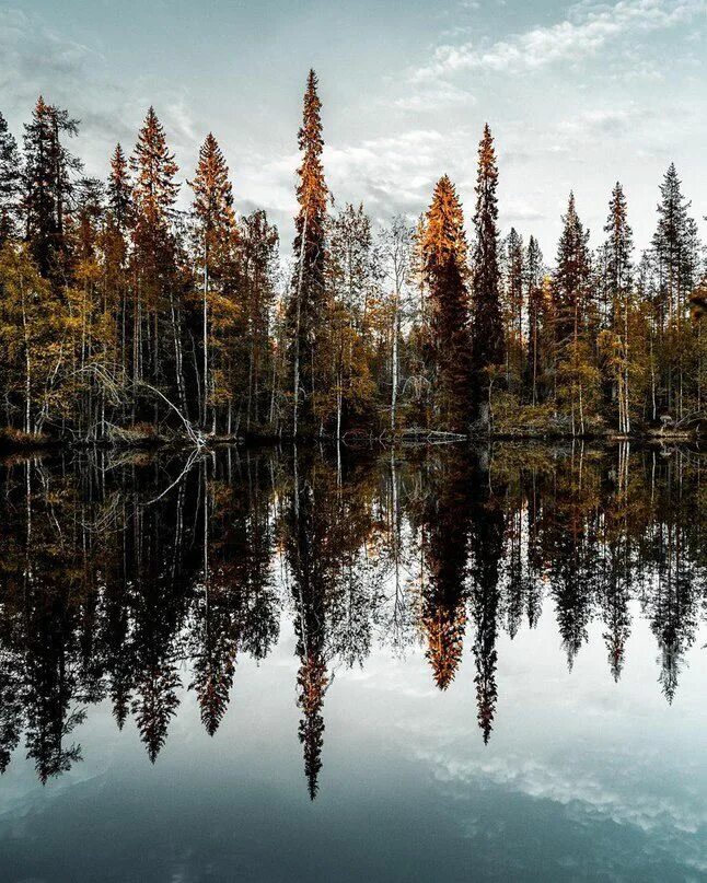 T finland