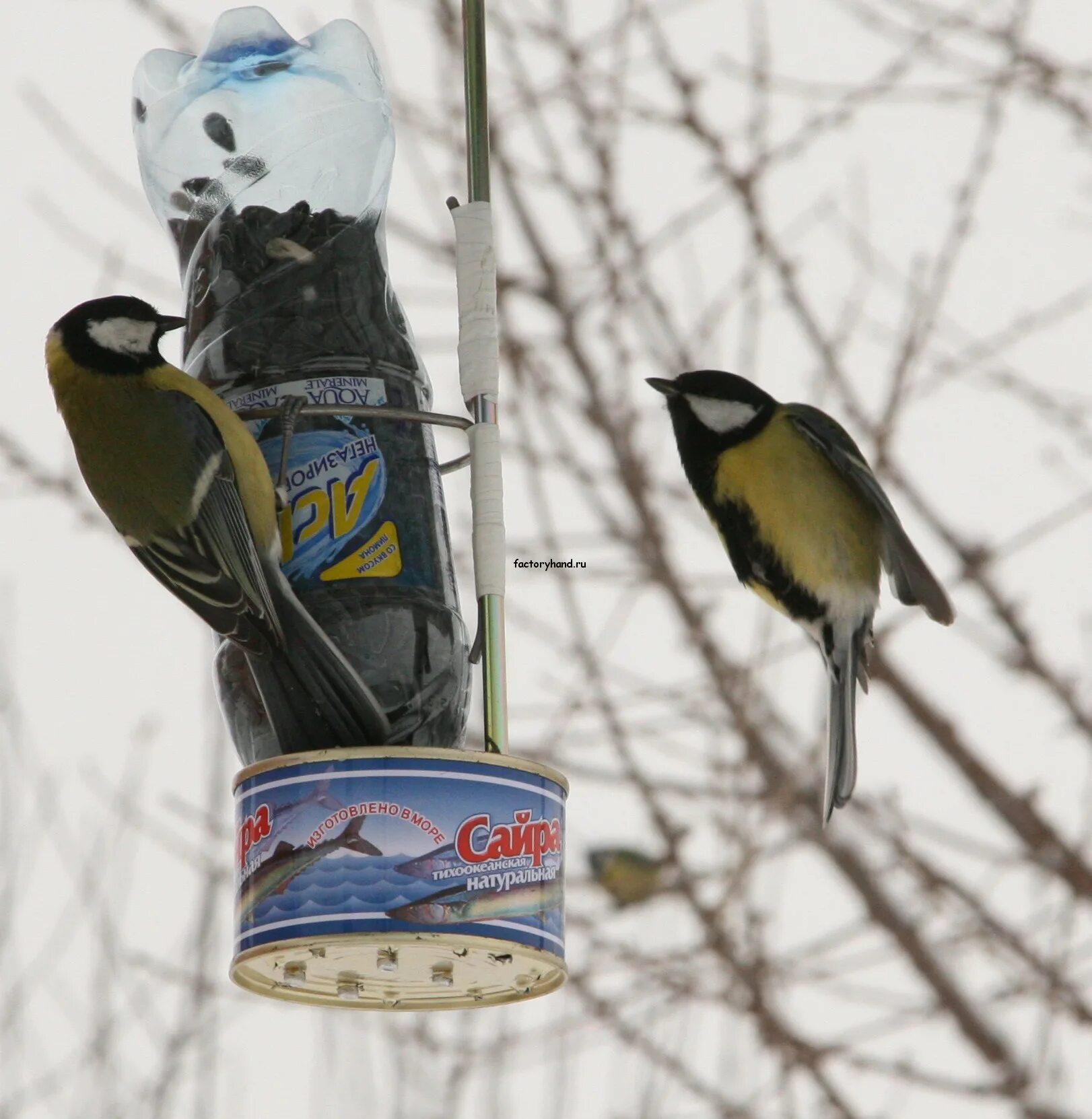 Правильная кормушка для синиц. Кормушка для птиц синичек. Как сделать кормушку для синиц. Как сделать кормушку для синиц. Как сделать кормушку для синиц.