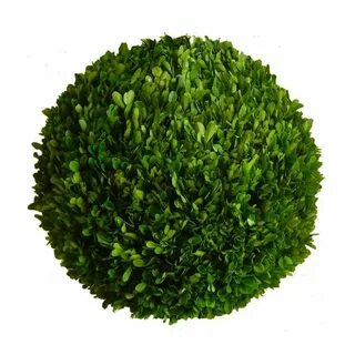 Круглые кусты