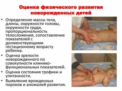 Физическое развитие плода