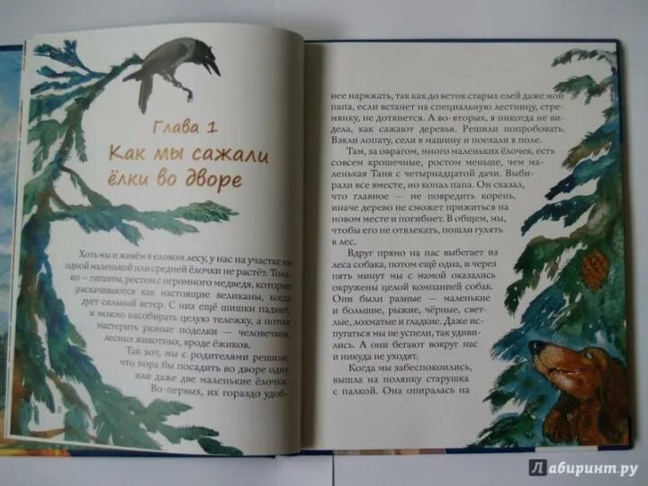 Рассказ история с последняя глава. Рассказ история с последняя глава. Месть в худ лит. Рассказ история с последняя глава. Рассказ история с последняя глава.