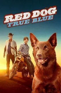 Red dog