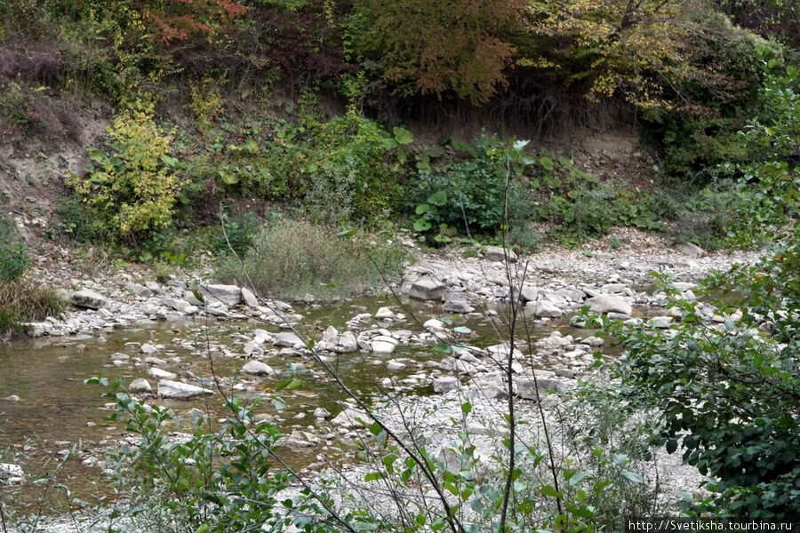 Погода поселок расцвет краснодарский край. Погода поселок расцвет краснодарский край. Погода поселок расцвет краснодарский край. Поселок расцвет краснодарский край. Погода поселок расцвет краснодарский край.