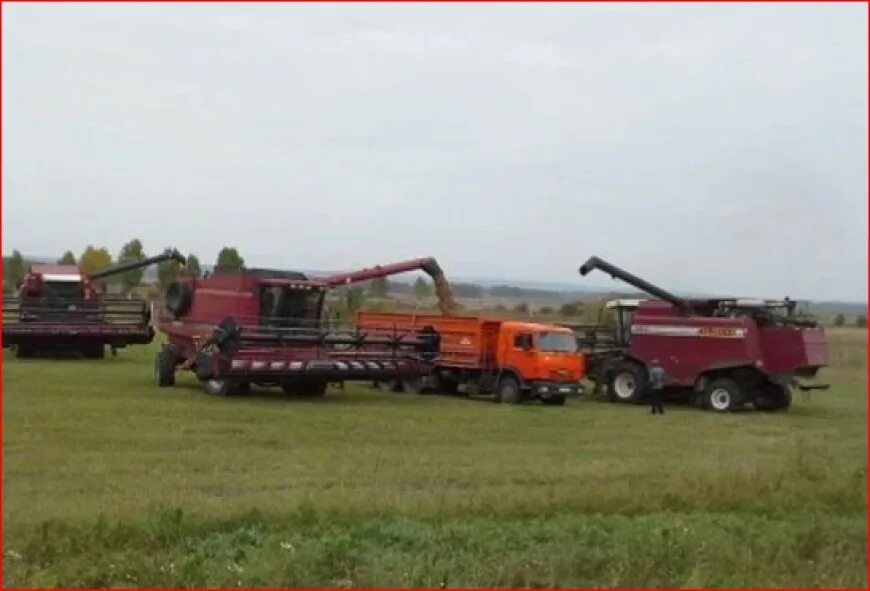 Продажа хозяйства челябинская область. Сельхоз ферма. Фермерское хозяйство "новицких". Продам кфх. Кфх рязанской области.