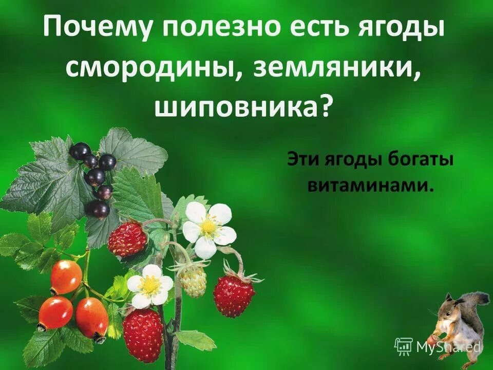 полезные овощи и фрукты. полезные овощи и фрукты для детей. сведения о полезных продуктах. овощи и фрукты полезные продукты. почему они полезные.