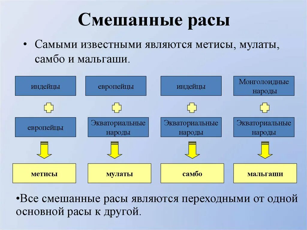 Смешанные расы людей. Смешанные расы. Виды смешанных рас. Таблица смешанных рас.