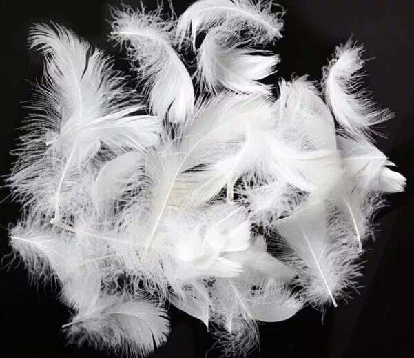 I'll buy some feather goose, duck. Price is negotiable. All questions by phone o