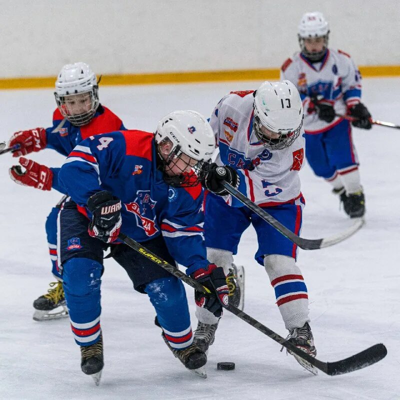 хоккей в питере 2023