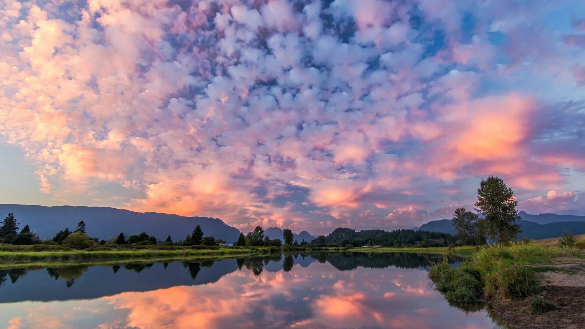 Природа лучший фильтр. Природа лучший фильтр. Пейзаж без фильтров. Проект по экологии. Река кривля.