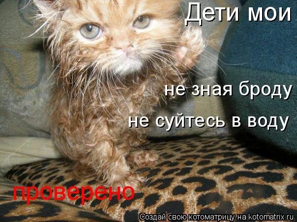 Не зная брода не лезь. Не зная броду несуйся в воду. не зная броду не лезь в воду. пословица не зная броду не суйся в воду. не зная броду не суйся в воду рисунок.