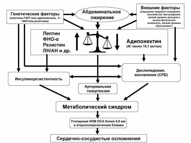 Схема ожирения
