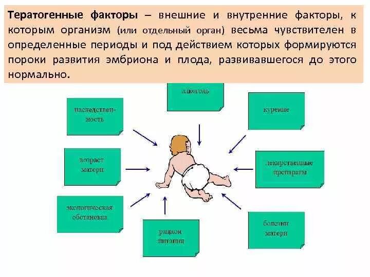 Средовые влияния на развитие. Влияние внешних факторов на беременность. Тератогенные факторы влияющие на плод. Что такое тератогенные факторы воздействия на плод?. Факторы влияющие на развитие зародыша.