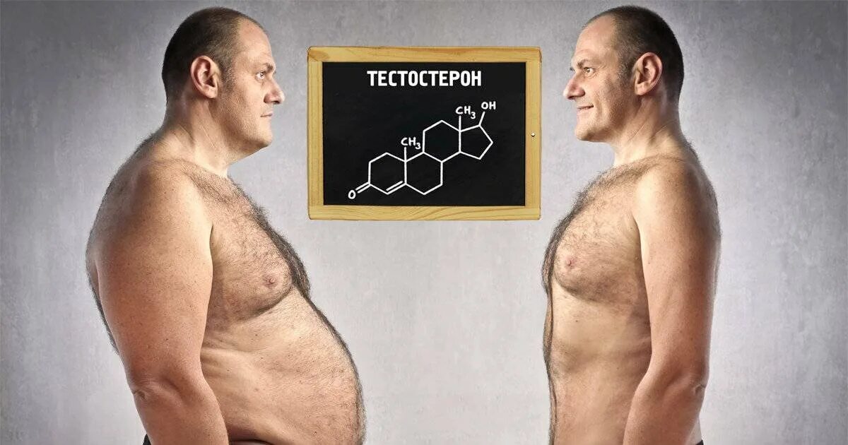 Высокий и низкий тестостерон у мужчин. Парни с высоким тестостероном. Тестостерон норма у женщин по возрасту таблица нг/мл. Тестостерон у молодых мужчин. Норма тестостерона у мужчин по возрасту таблица в нмоль/л.