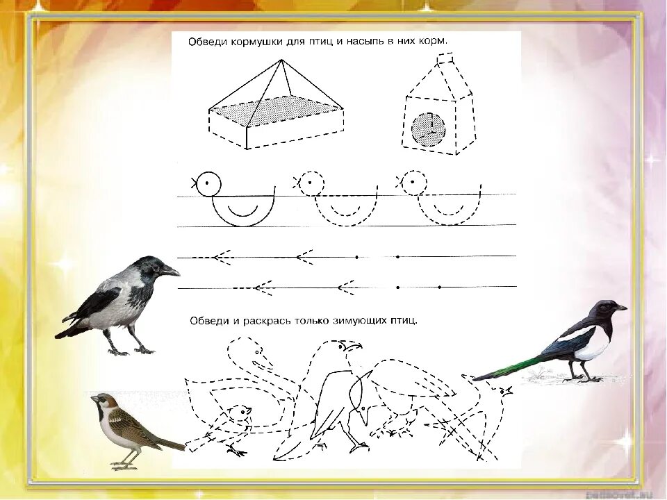 Задания про птиц. Лексическая тема перелетные птицы для детей 3-4 лет. Лексическая тема перелетные птицы для дошкольников. Зимующие птицы задания для дошкольников. Зимующие птицы здания для детей.