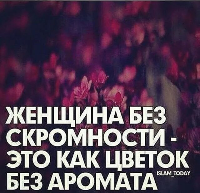 Выражение скромность. Мусульманские цитаты про женщин. высказывания про скромность. исламские статусы для девушек. красота женщины в исламе цитаты.