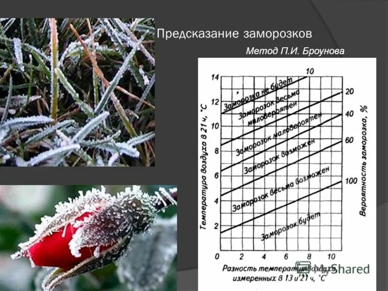 Причины заморозков