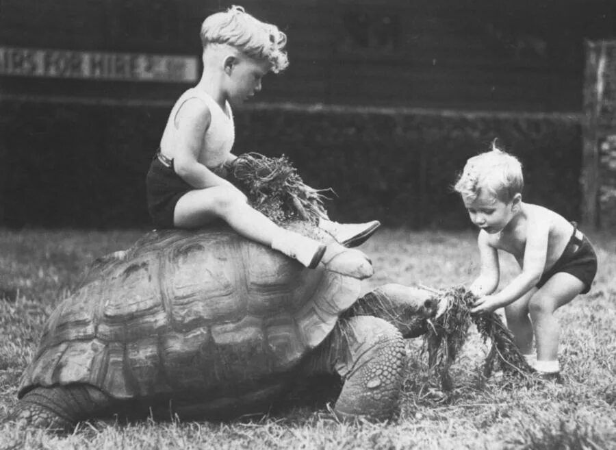 Старые смешные фотографии. Прикольные ретро фото. Советские дети с животными. Смешные старинные фото. Старые смешные картинки