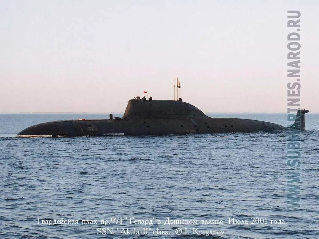 Подлодка гепард. Подводная лодка гепард 971. атомная подводная лодка гепард. подводные лодки проекта 971 «щука-б». атомная подводная лодка к-335 гепард.