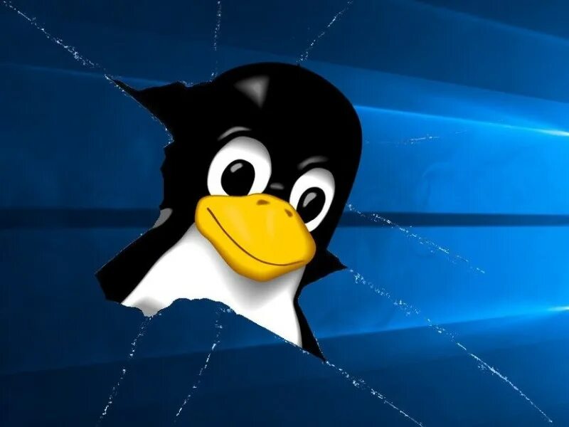 Microsoft unix