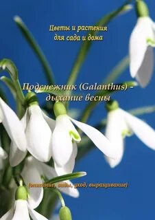 Одиннадцать подснежников аудиокнига