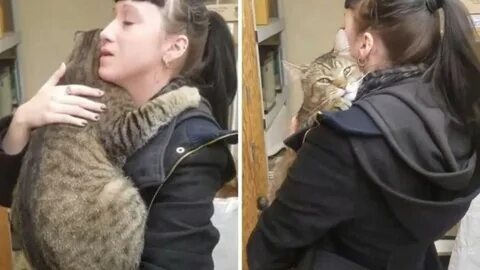 Девушка спасла кота