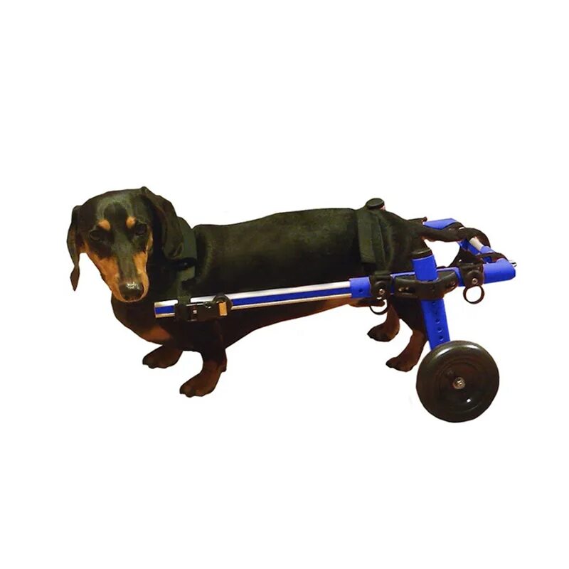 Коляска для собак инвалидов. Инвалидная коляска для собак walkin wheels. коляска для собак walkin&#039; wheels. инвалидные коляски dog wheelchairs. маркмобиль инвалидные коляски для собак.
