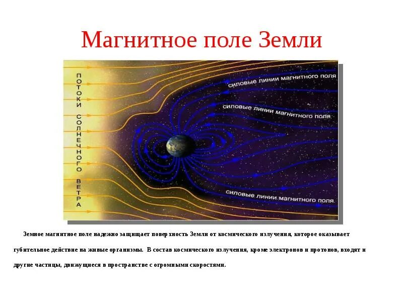 Магнитное поле земли сообщение по физике