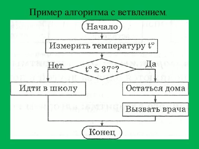 Схема разветвляющего алгоритма. Алгоритм ветвления блок-схемы примеры. пример блок схемы алгоритма с ветвлением информатика. алгоритмы с ветвлением 6 класс информатика. алгоритм с ветвлением примеры.