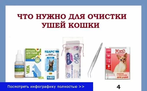 Как почистить кошке уши в домашних