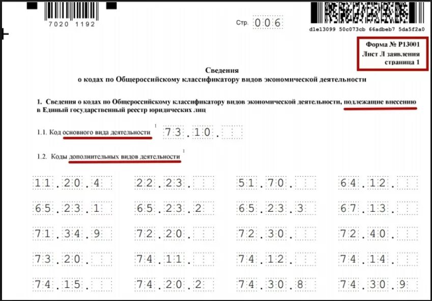 Коды дополнительных видов деятельности для ИП. Образец заполнения ОКВЭД. ОКВЭД образец.