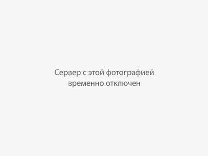 Sponsor block временно недоступен время api