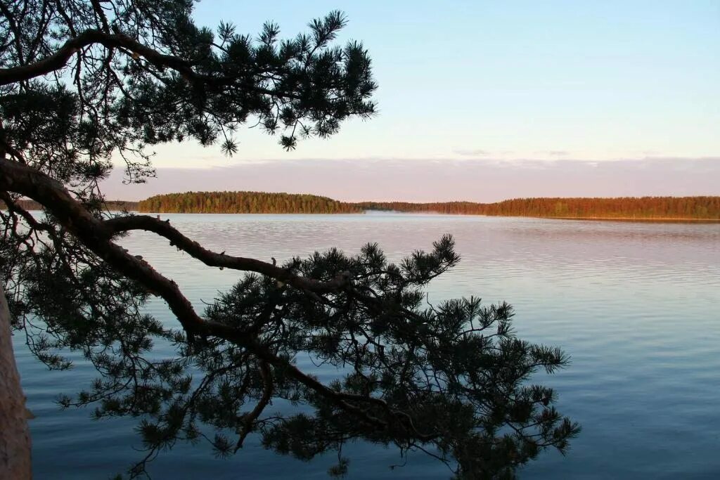 погода зеркальное ленинградская область