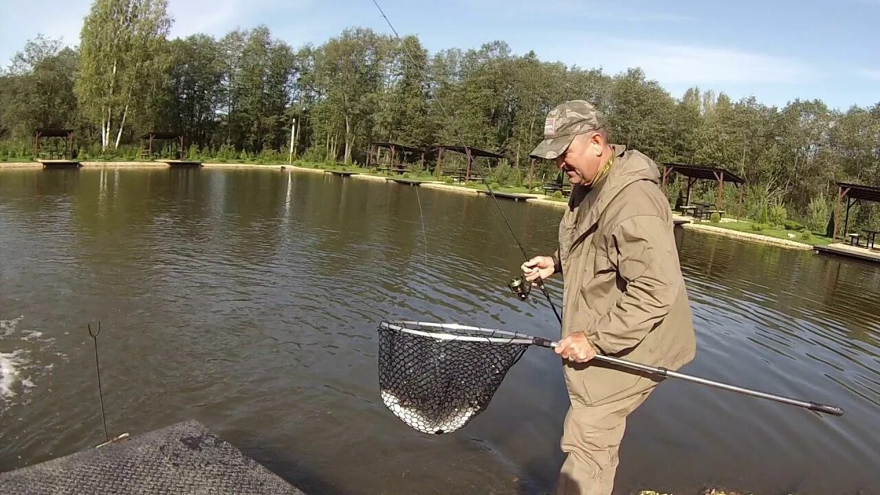 Платная рыбалка. Рыбалка в Подмосковье. Платный водоем для рыбалки. Рыбалка на пруду. Платные озера для рыбалки