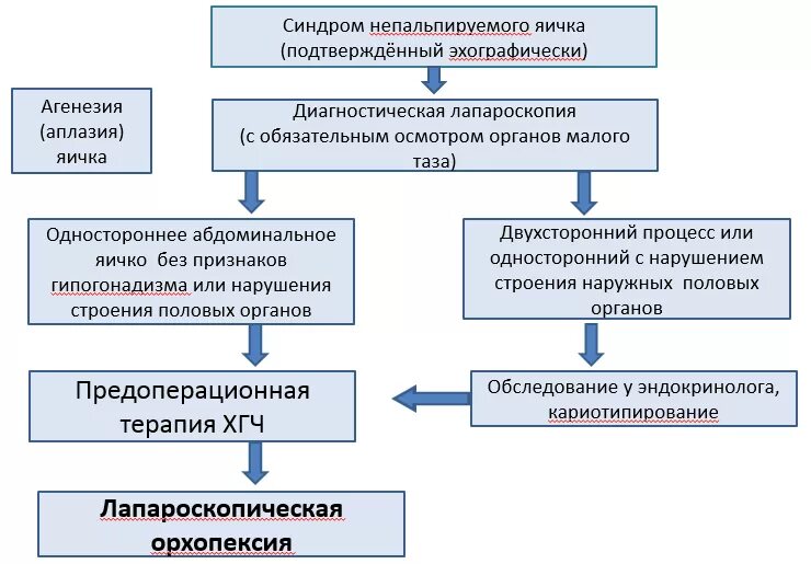 Классификация крипторхизма у детей. Крипторхизм патогенез. Дифференциальный диагноз крипторхизма. Операции при крипторхизме виды. Бесплодие яичко