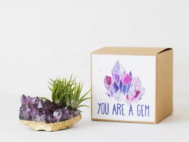 Друза аметист с тилландсией. Crystal Air Plant. Birthday Gifts Plants. You are Gem. Idea 20