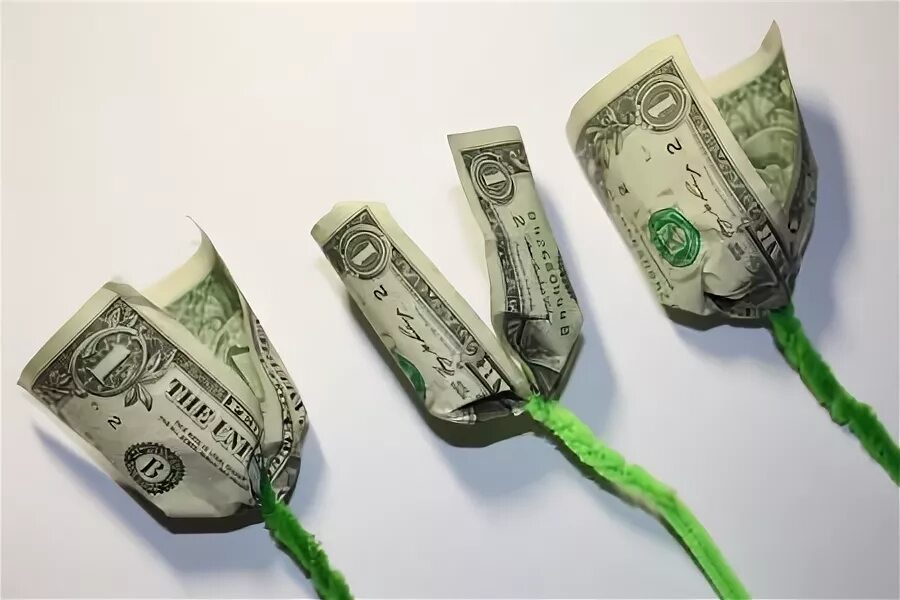 Букет из роз и денег. Букет из денег. Цветок из купюры. Доллары веером. Веер из денег.