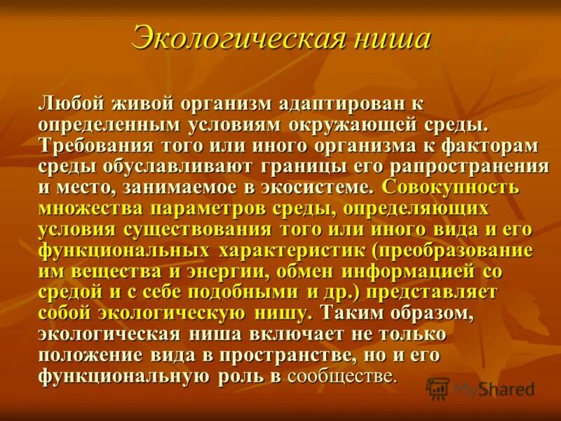 экологическая ниша 2 3 организма