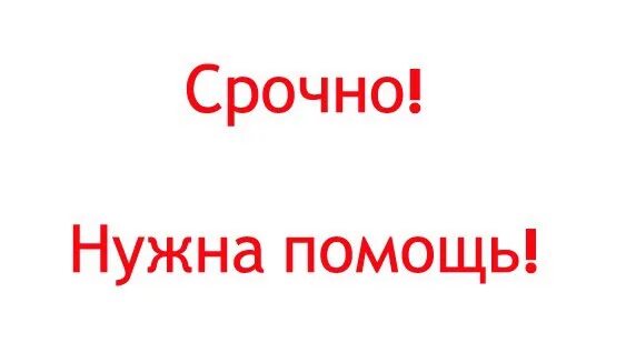 Срочно нужна помощь. Срочно. Нужна помощь. Срочно помощь. Срочная помощь на карту