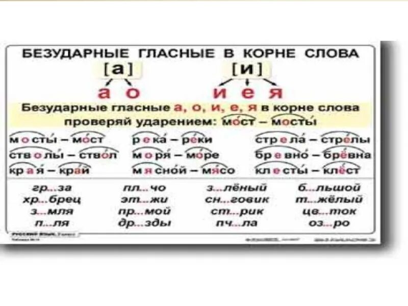 Орфограмма в слове верный