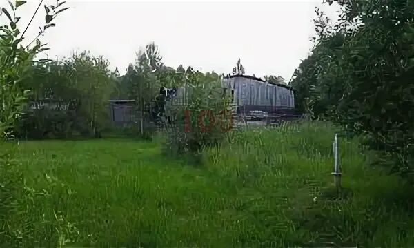 Дача в посадниковом острове киришского. Посадников остров аэрофлот. Погода 55 км киришский. Доска днп. Посадников остров снт турист.