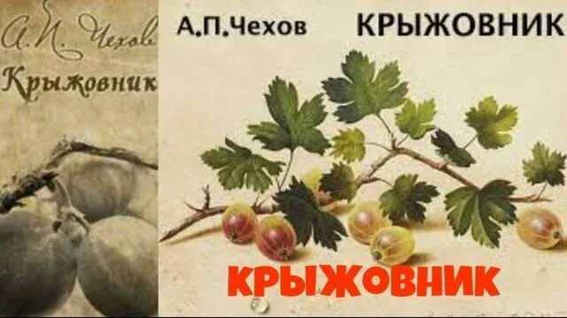 Крыжовник слушать аудиокнигу