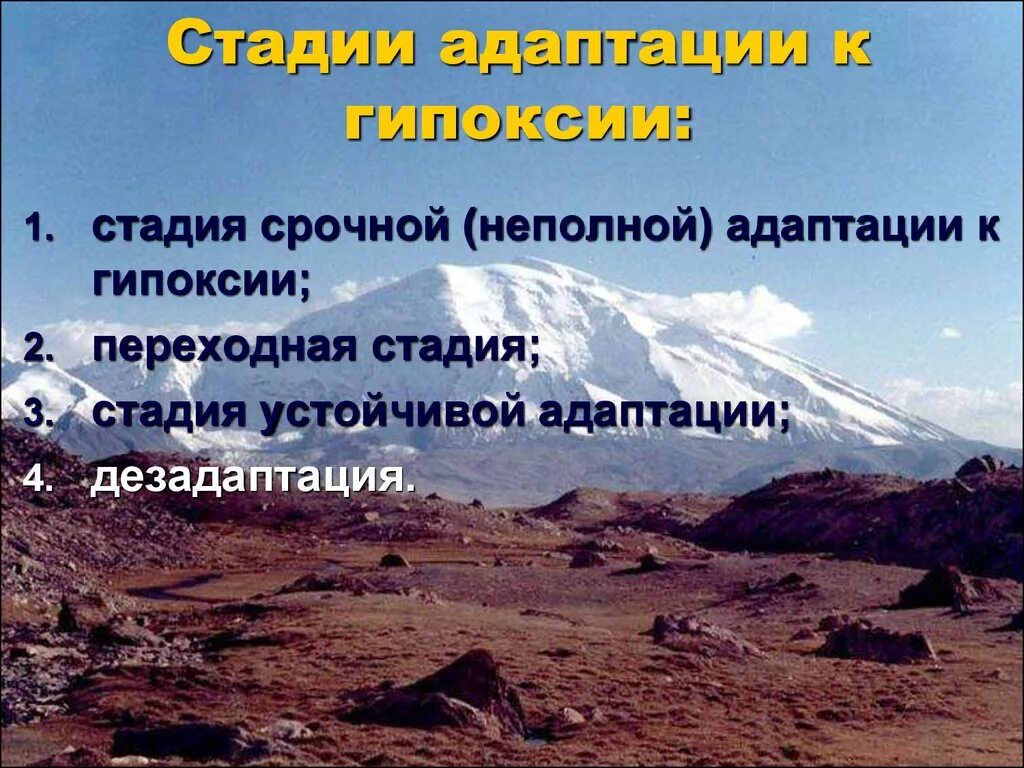 Стадии адаптации к гипоксии. Экстренная адаптация к гипоксии схема. Механизмы адаптации к гипоксии. Экстренная и долговременная адаптация организма к гипоксии.