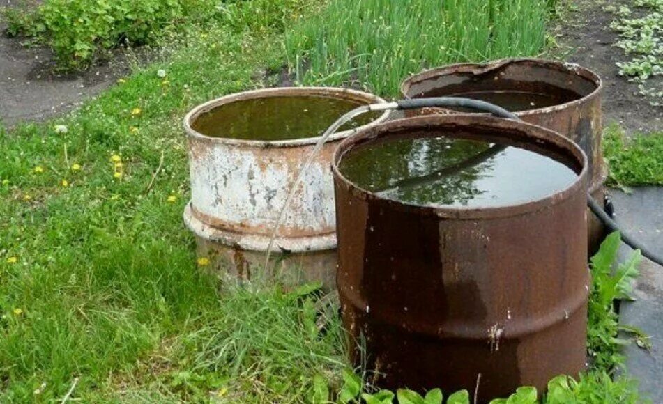 Вода вода равно бочка. Бочка для полива огорода. Бочка в огороде. Бочка для воды. Бочка для воды на дачу.