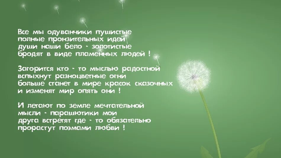 О и высоцкой одуванчик. Стих про одуванчик. Высказывания про одуванчики. Афоризмы про одуванчики. Стих про одуванчик для дошкольников.