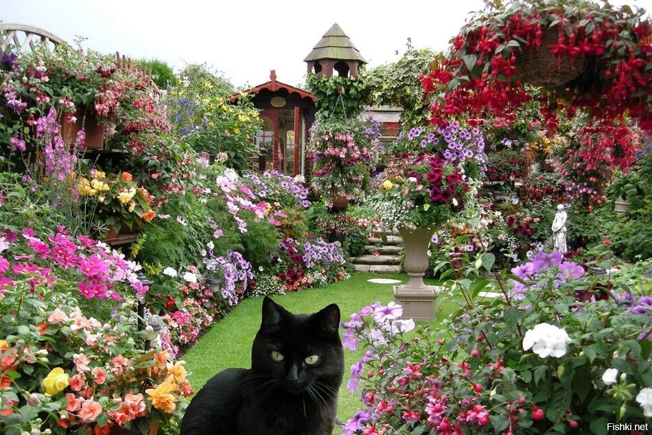 Сад Эдвины Фран. Красивые цветники в саду. Цветы на дачном участке. Цветочный сад.