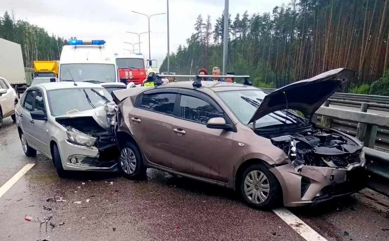Дтп дон воронеж. Дтп дон воронеж