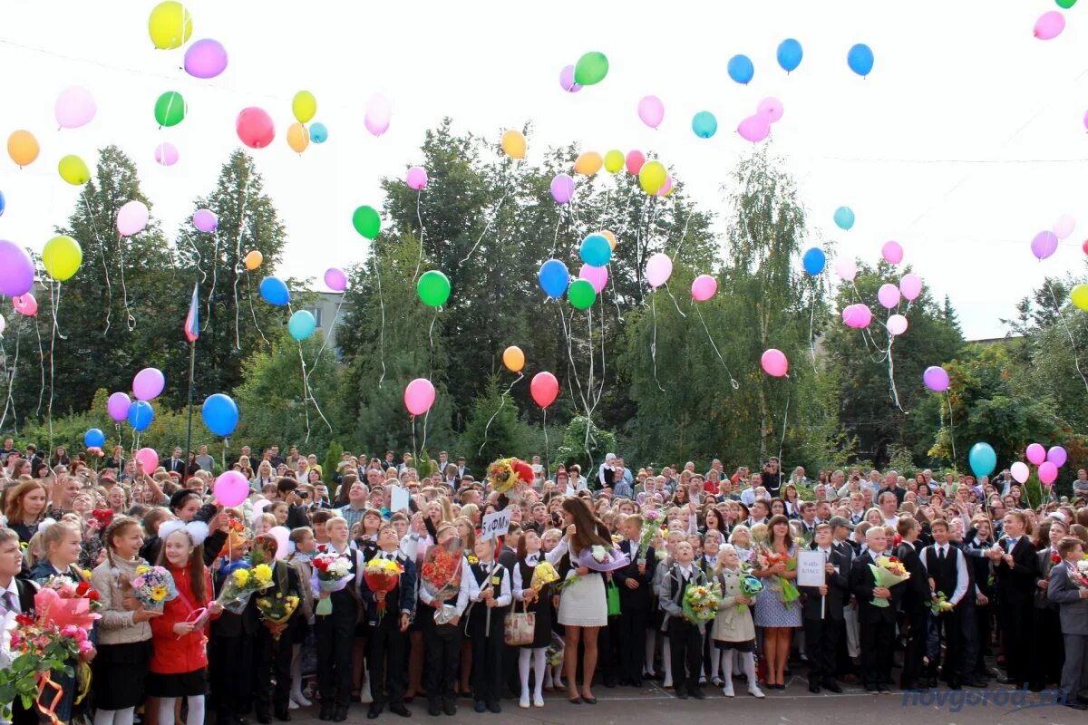 14 школа великий новгород. Школа 31 Великий Новгород. Школа 2 Великий Новгород. Живая школа Великий Новгород. Школа 9 Великий Новгород.