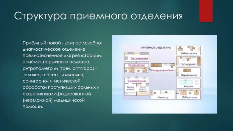 Структура приемного отделения стационара. Приемно-диагностическое отделение структура организация работы. Структура и функции приемно диагностического отделения. Схема приемного отделения.